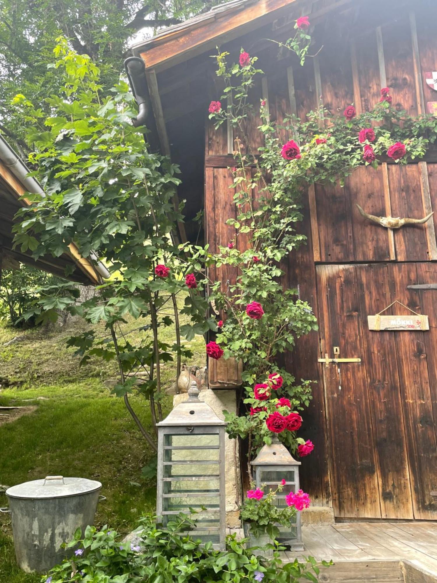 Bed and Breakfast Le Pika Отлюс Екстер'єр фото